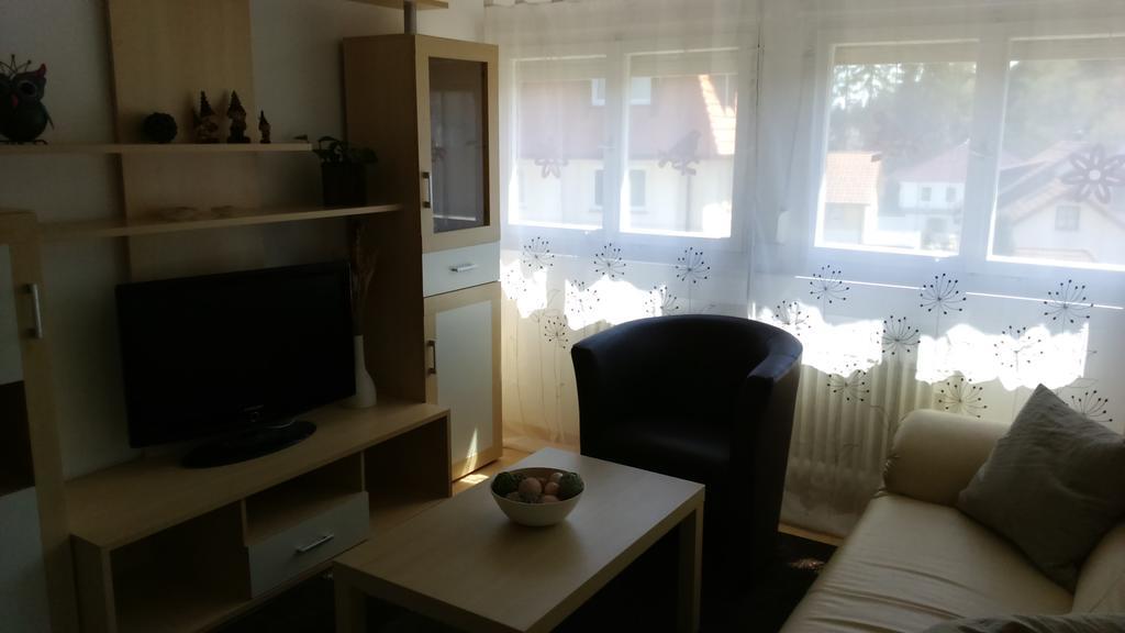 Ferienwohnung Fruehlingsau Freudenstadt Luaran gambar